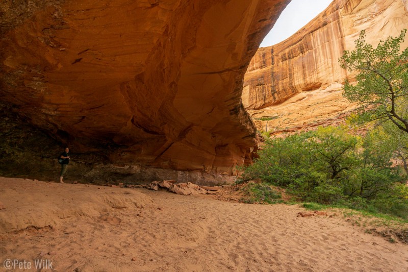 This hike, while only 10 miles can be extended if desired by other entry points.  If doing that it is possible to camp overnight in the gulch.  This would be a primo site.