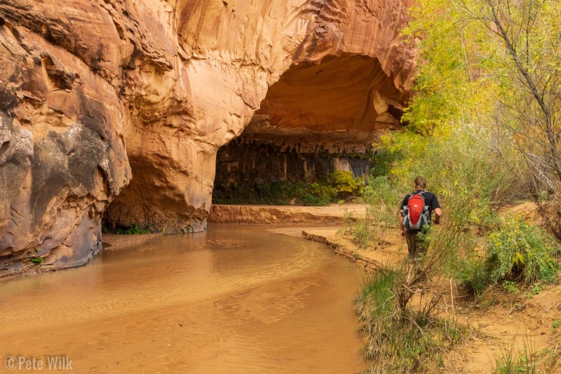 It isn't every day that you can do 6 miles of hiking, the length in the gulch, in barefeet with comfort.