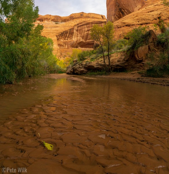 The water was no more than mid-shin deep or if it was deeper it was easy to bypass.