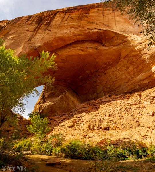 At the end of the hike, or at least our exit point.  This is Jacob Hamblin's Arch.