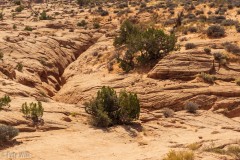 View looking at the top of Peek-a-boo Slot.  The canyon winds in from the right and then zags away into the background.