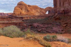 A better view of Steven's Arch's 220 ft span.