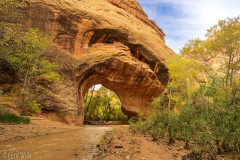 The Coyote Natural bridge where the water has cut.