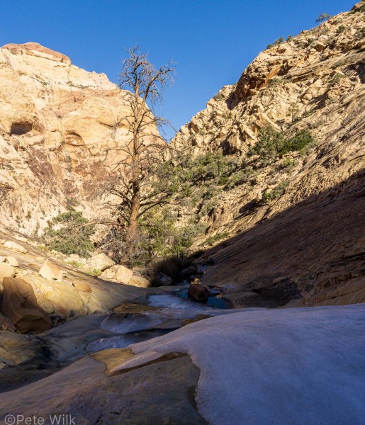 On the descent you head down a number of smooth sandstone slabs.  In this spot in the shade we found some ice!