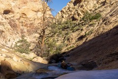 On the descent you head down a number of smooth sandstone slabs.  In this spot in the shade we found some ice!