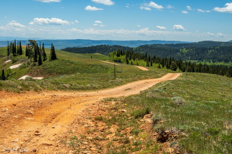 The slightly rocky spur to the top of Red Spur Mountain.