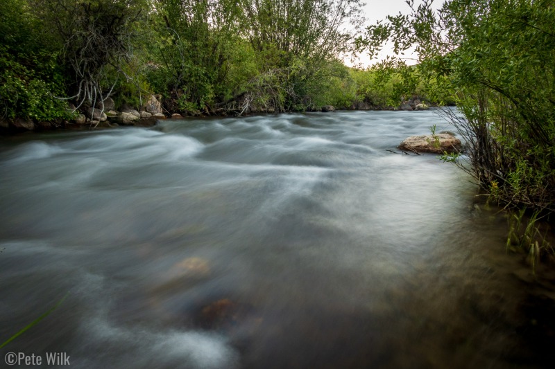 I caught a few good fish in this section of the Logan River in fall 2021.