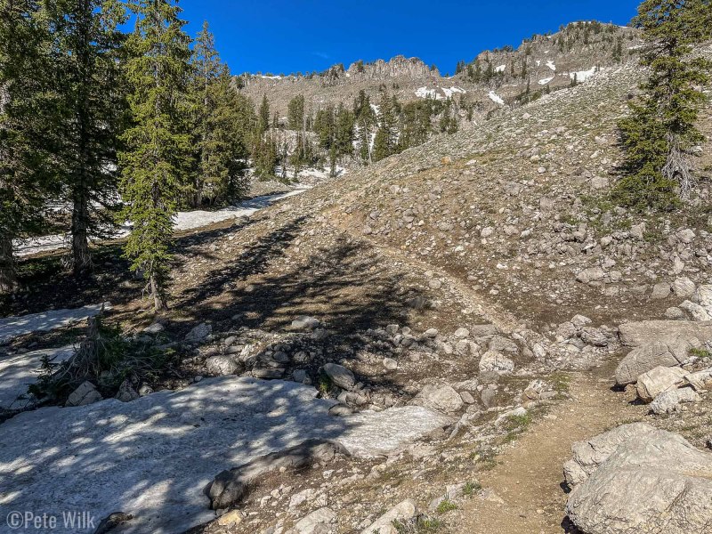 Trail run to Naomi Peak.  Still some snow crossings for sure.