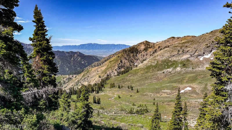 Looking out towards Logan.