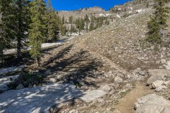 Trail run to Naomi Peak.  Still some snow crossings for sure.