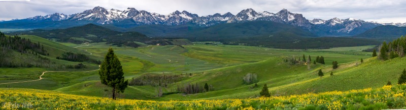 A good view into the hills and fields above Stanley, ID which sits at the base of the Sawtooths.
