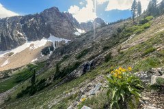 Wildflowers were bloom.