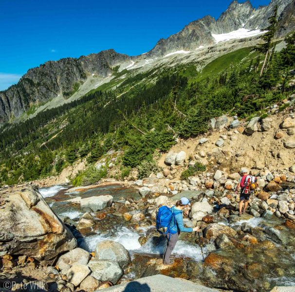 Once out of the forest there are big views of Forbidden Peak and Eldorado Peak.  Like many alpine zones in August it was lush and filled with wildflowers.