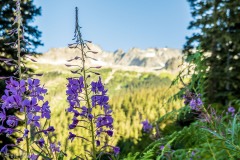 Once in a while on the trail there is a view to see the mountains through the trees.