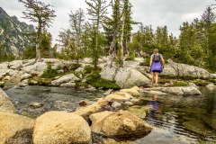 Hey look a stream crossing!