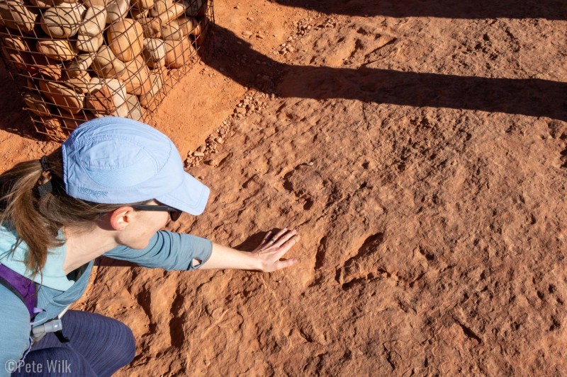 A short side excursion to some dinosaur tracks.