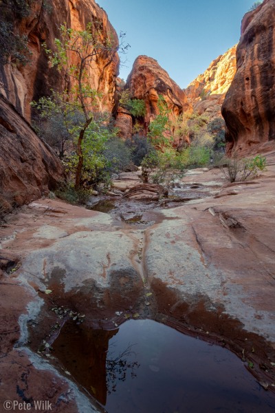The canyon had some water in it which was mostly avoidable.  One zone required a convoluted climb up out of the canyon to avoid it.