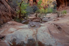 The canyon had some water in it which was mostly avoidable.  One zone required a convoluted climb up out of the canyon to avoid it.