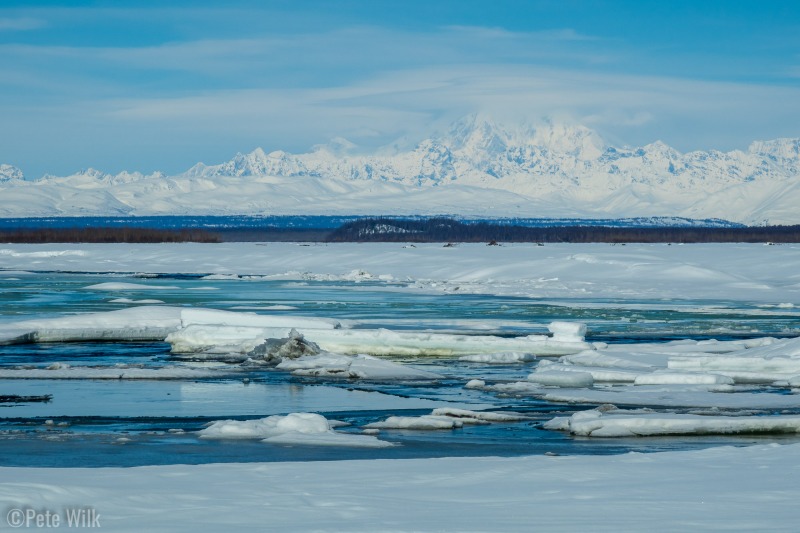 Denali from Talkeetna