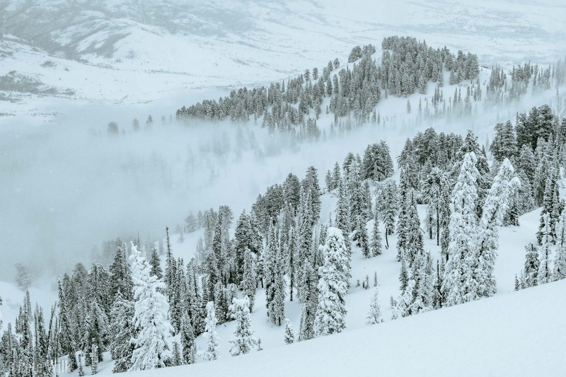 The wind was almost non-existant and the valley fog/clouds were an indication of that.