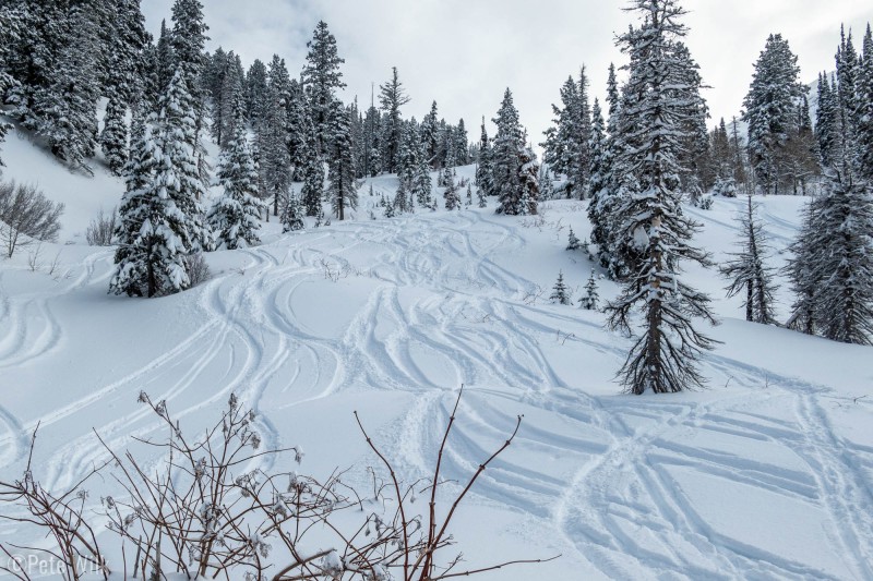 Between our two laps and the six person party behind us we pretty much skied this little line out.