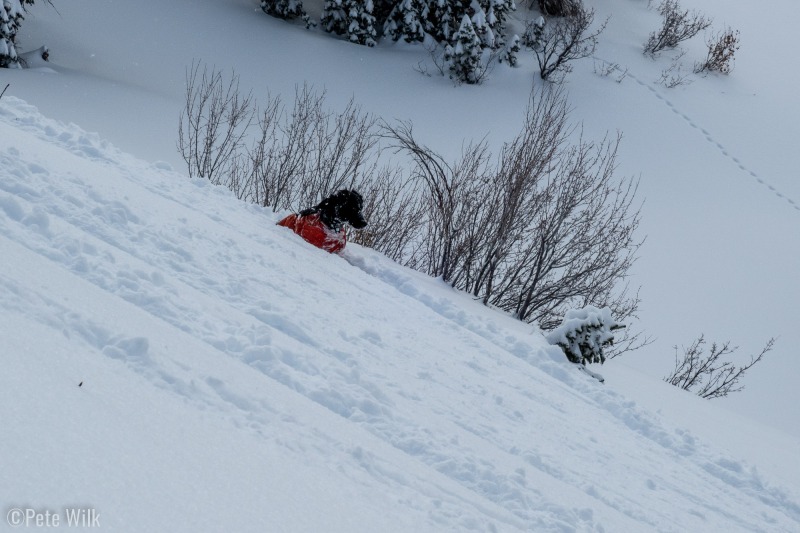 The party behind us had a couple of dogs.  On this lower angle terrain they were working hard to keep up on the down.