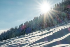 Awesome low angle sun across the fresh snow.