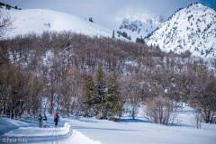 2023-03-05_48531
