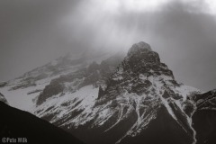 2023-03-11_48619