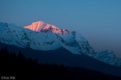 2023-03-12_48696