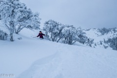 Blower pow on Grandeur!