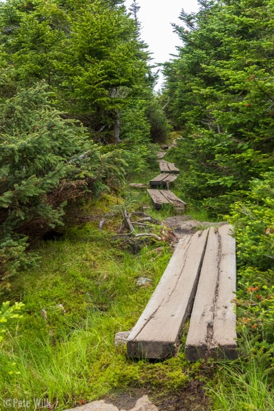 Planks across the bog.  Wet trails for the duration of the 19 miles.