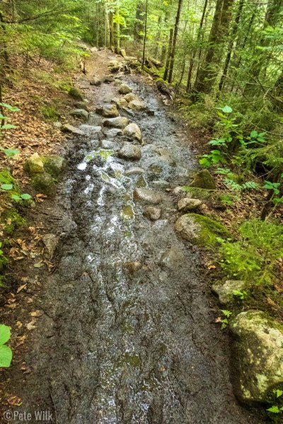 Yup this was pretty much the trail for the whole way.