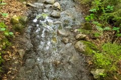 Yup this was pretty much the trail for the whole way.