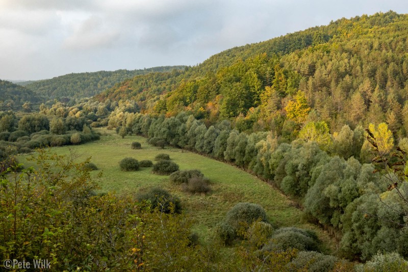 Picturesque forests and fields from a rise near Čepić.