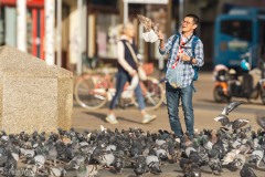 Tourist feeding pigeons.