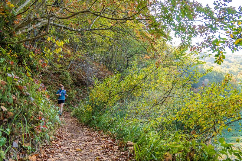 Most people take a boat across the big lake to avoid a 2.5 mile trail.  We opted to run the trail which was quicker than waiting for the boat.  Plus it was the most solitude in the park.