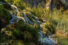 The parks natural attractions are a combination of the plentiful water, geology, and plantlife all in harmonious combination.