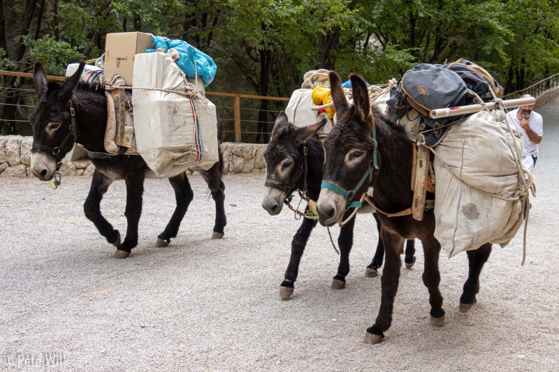 There's a mountain hut about 1.5 hour hike up the canyon.  It has some cush ammenities, including a swimming pool.  Donkey's bring supplies up and down.