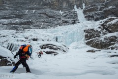 Staring up at Popsicle Toes (WI4+).  We pitched it into 3 pitches, but didn't do either of the two upper pillars because of the ice quality.