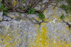 Rest day walk to an acient ruined city.  Nature is reclaiming the remains.