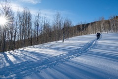 2025-02-22_55253