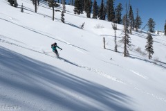 2025-03-08_55194