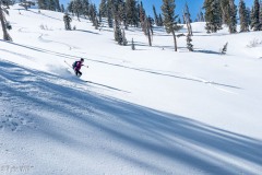 2025-03-08_55200