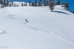 2025-03-08_55205