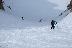 Firm chunder for the duration.