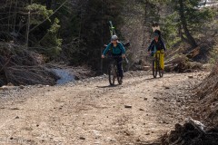 Fun cruise out back to the car.