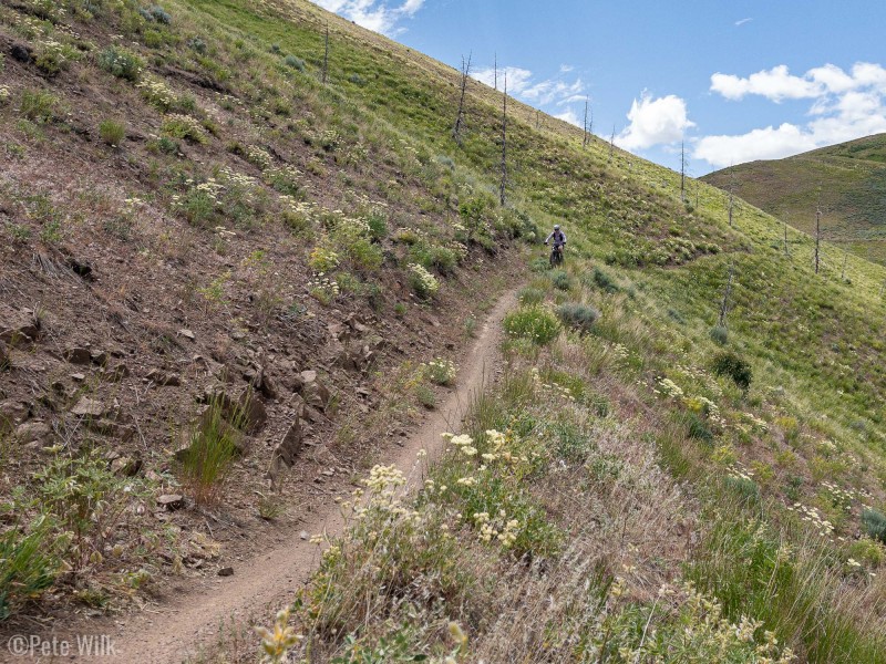 After a long climb we got an amazing downhill section through wildflowers and tall grasses.