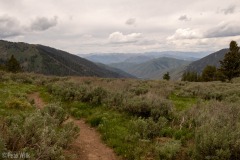Moody skies for the duration of the day.