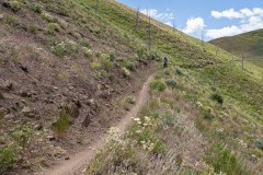 After a long climb we got an amazing downhill section through wildflowers and tall grasses.